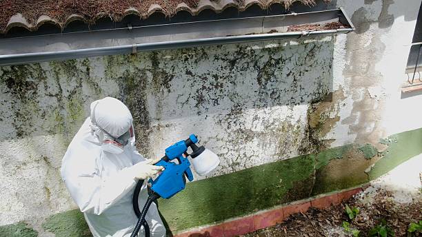 Trusted Mold Inspection service in Lynbrook, NY - Cheap Mold Removal